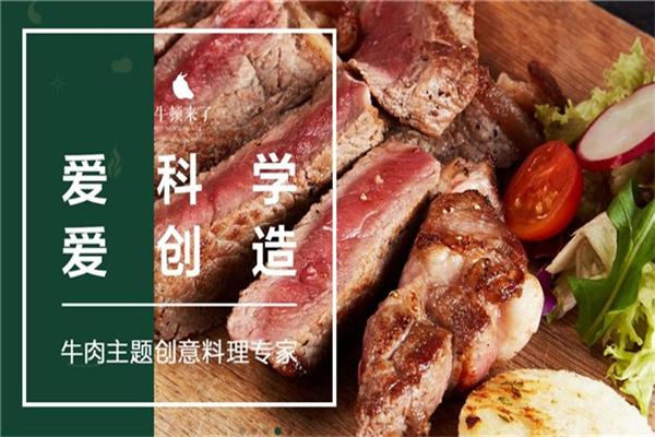 牛顿来了牛腩煲饭加盟