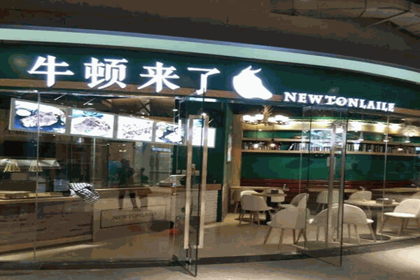 牛顿来了牛腩煲饭